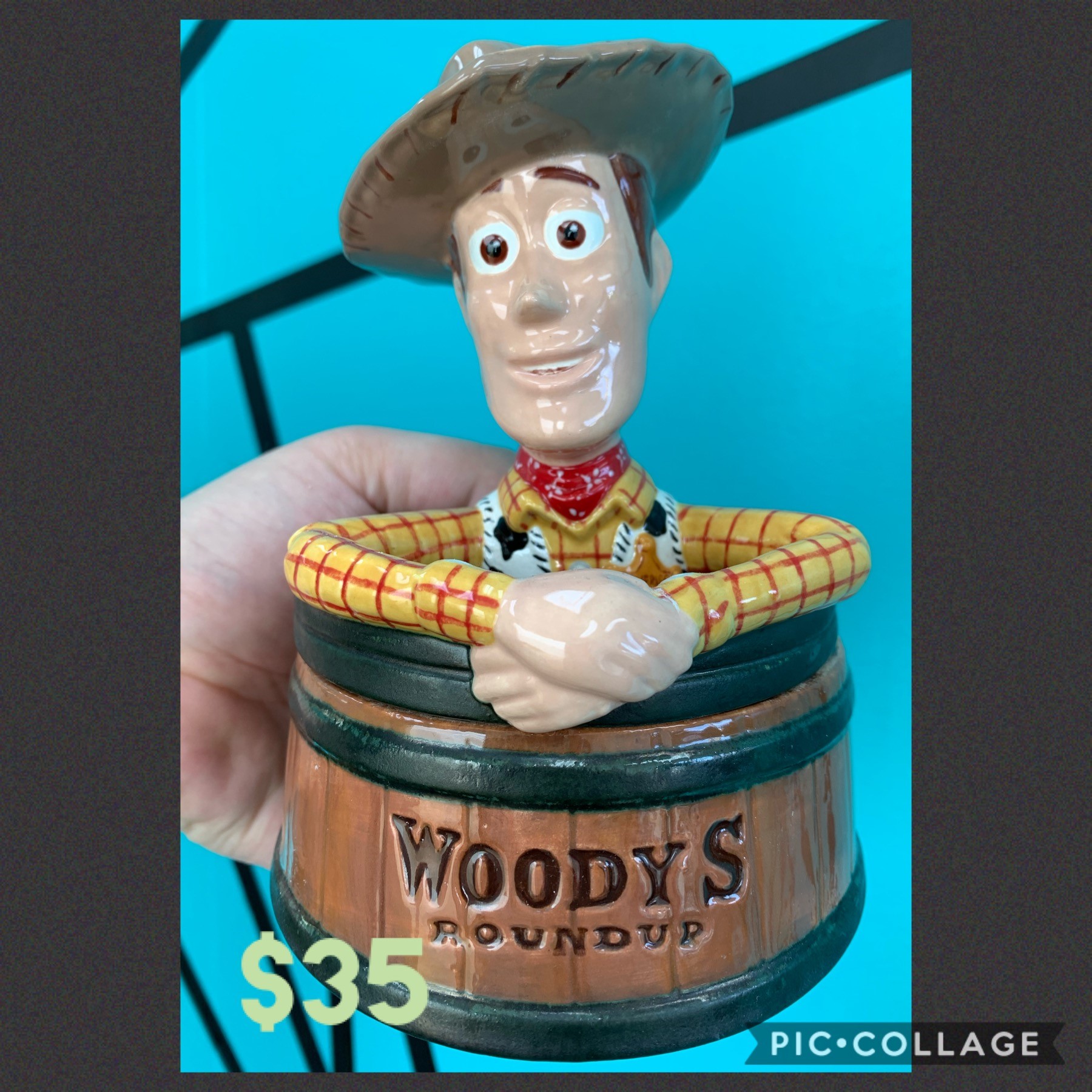 woody's roundup box